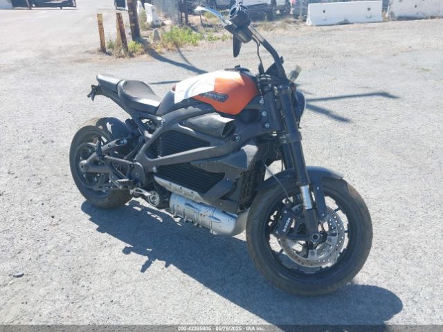 2020 HARLEY-DAVIDSON ELW 1HD2XAEB4LB800232