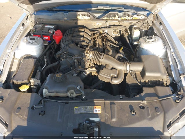 1ZVBP8AM9E5239803 Ford Mustang V6