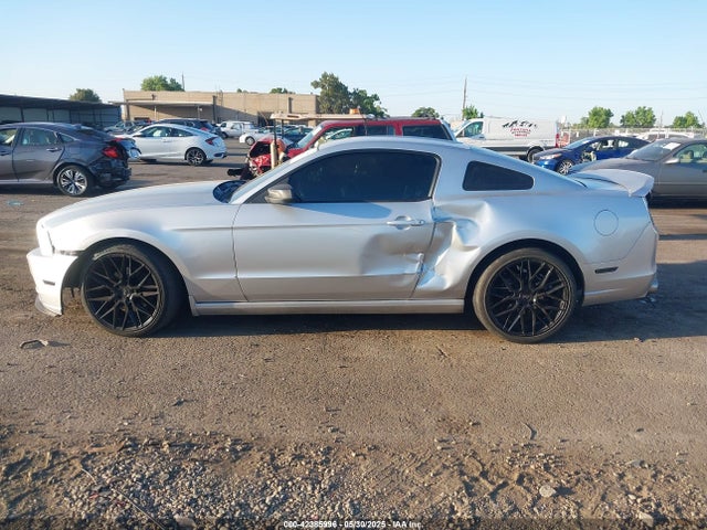 1ZVBP8AM9E5239803 Ford Mustang V6