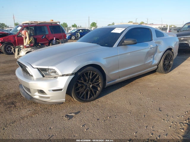 1ZVBP8AM9E5239803 Ford Mustang V6