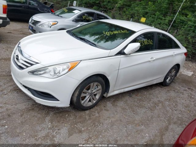 5NPEB4AC6EH911072 Hyundai SONATA GLS