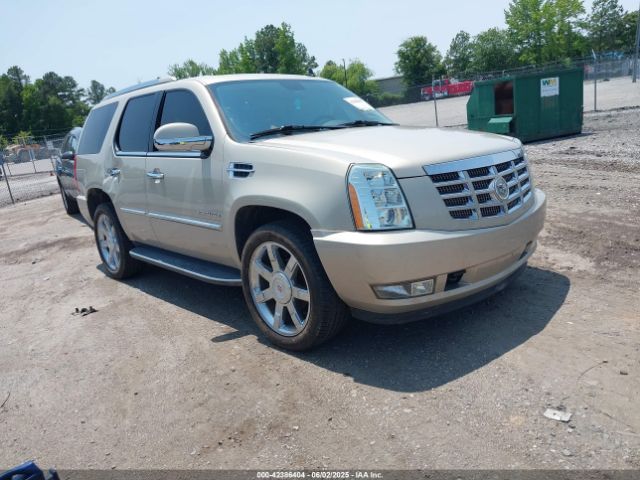 2011 CADILLAC ESCALADE 1GYS3BEFXBR161876