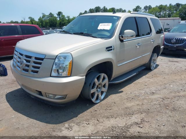 2011 CADILLAC ESCALADE 1GYS3BEFXBR161876 Photo 1