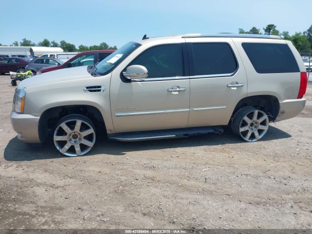 2011 CADILLAC ESCALADE 1GYS3BEFXBR161876 Photo 5