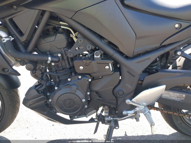 MH3RH20Y6RK013159 Yamaha Mtn320 (mt-03)