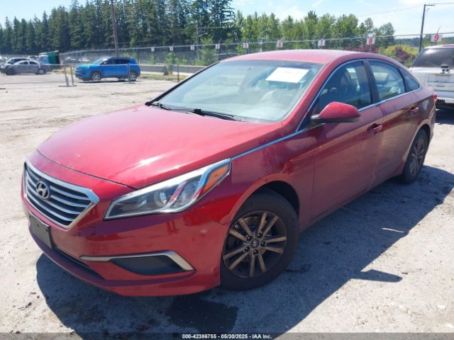 5NPE24AFXGH268433 Hyundai SONATA SE