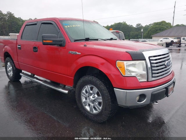 Продажа на аукционе авто 2011 Ford F-150 Xlt, vin: 1FTFW1EF1BFB28727, номер лота: 42386989