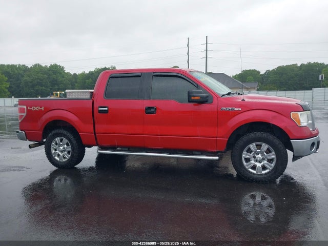 Продажа на аукционе авто 2011 Ford F-150 Xlt, vin: 1FTFW1EF1BFB28727, номер лота: 42386989