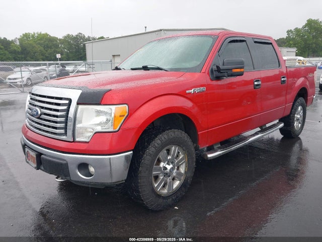 Продажа на аукционе авто 2011 Ford F-150 Xlt, vin: 1FTFW1EF1BFB28727, номер лота: 42386989