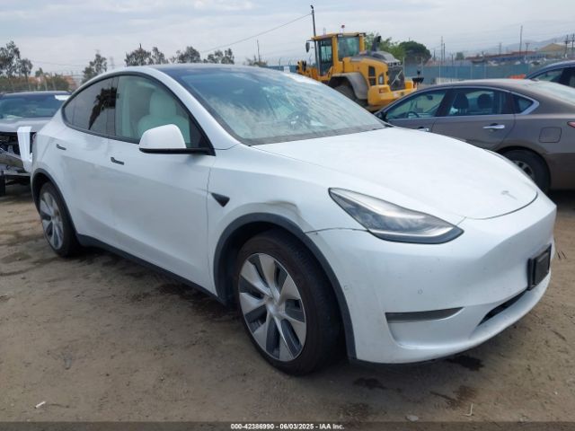 2021 TESLA MODEL Y 5YJYGDEE7MF090894