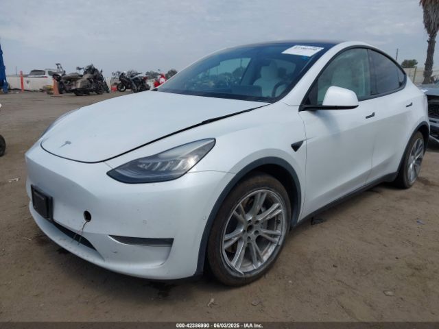 2021 TESLA MODEL Y 5YJYGDEE7MF090894 Photo 1