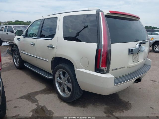 2009 CADILLAC ESCALADE 1GYFK132X9R248668 Photo 2