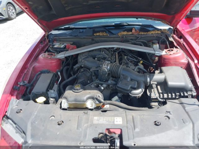 2013 FORD MUSTANG 1ZVBP8EM6D5281421 Photo 9