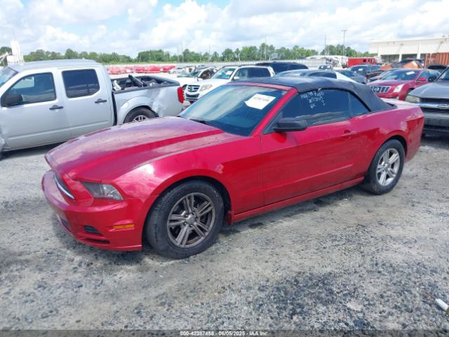 2013 FORD MUSTANG 1ZVBP8EM6D5281421 Photo 1