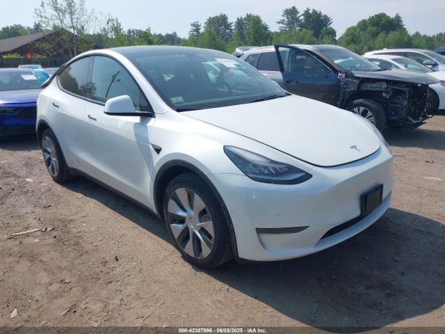 2020 TESLA MODEL Y 5YJYGDEEXLF028453