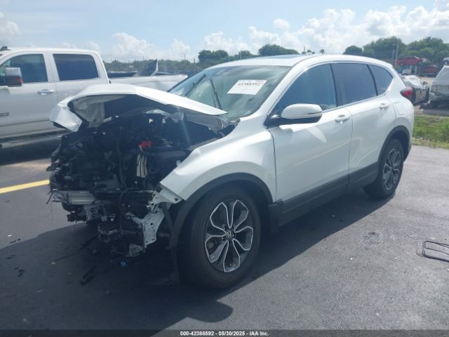 2022 HONDA CR-V 7FARW2H55NE046504 Photo 1