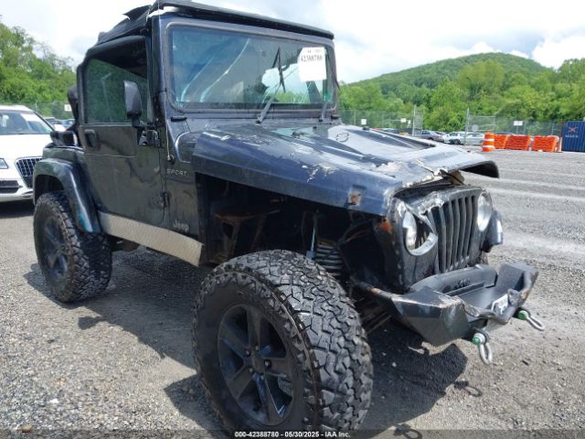 2003 JEEP WRANGLER 1J4FA49S53P317779