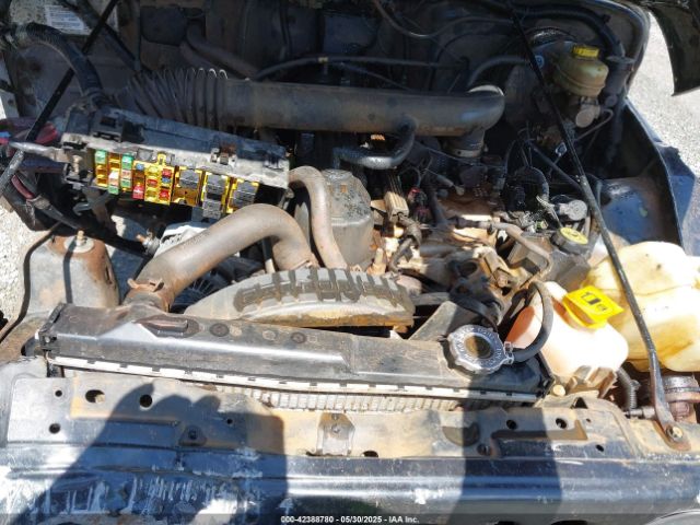 2003 JEEP WRANGLER 1J4FA49S53P317779 Photo 9