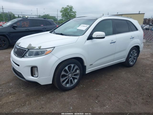 5XYKWDA71EG520204 KIA Sorento Sx V6