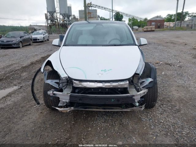7SAYGDEE2PF631955 Tesla 2023