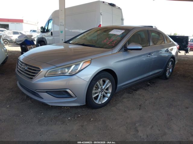 5NPE24AF0HH446982 Hyundai Sonata