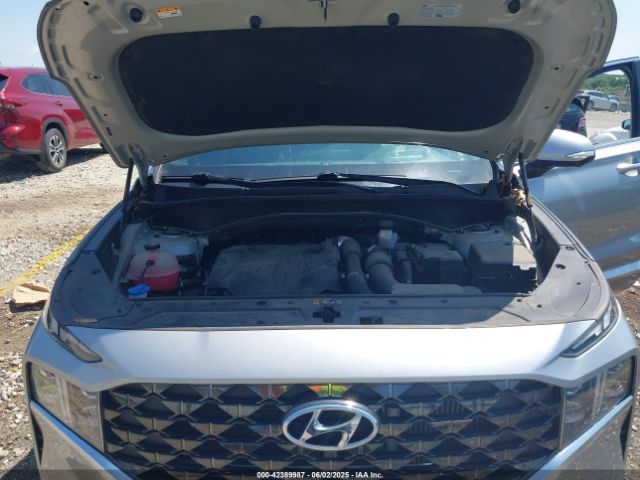 5NMS5DAL4NH393955 Hyundai Santa Fe Calligraphy