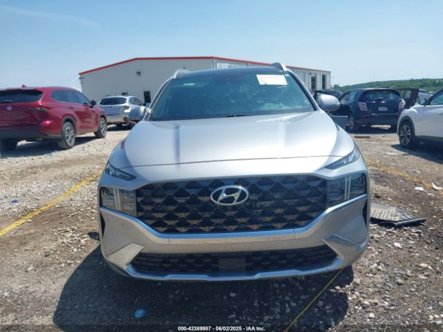 5NMS5DAL4NH393955 Hyundai Santa Fe Calligraphy