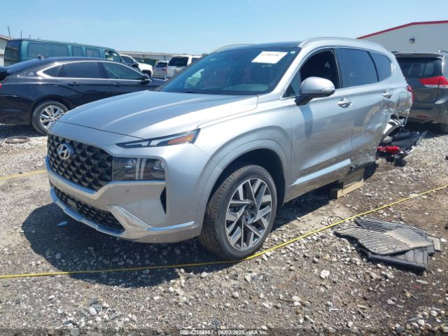 5NMS5DAL4NH393955 Hyundai Santa Fe Calligraphy