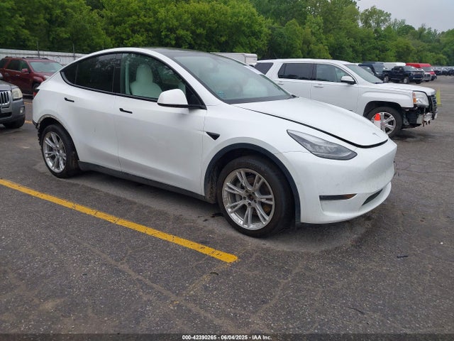 2021 TESLA MODEL Y 5YJYGDEE0MF075606 Photo 0