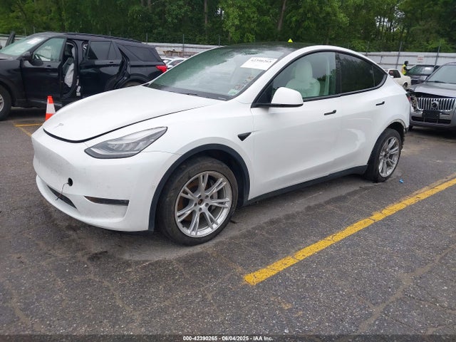 2021 TESLA MODEL Y 5YJYGDEE0MF075606 Photo 1