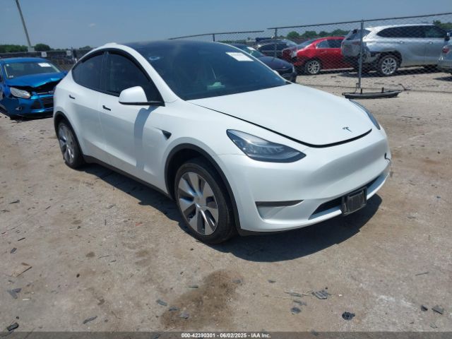 2023 TESLA MODEL Y 7SAYGDEE3PA067309