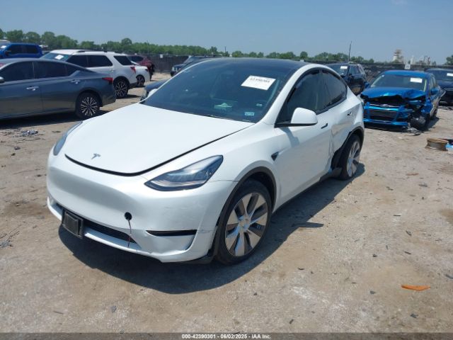 2023 TESLA MODEL Y 7SAYGDEE3PA067309 Photo 1