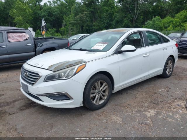 5NPE24AF5FH067571 Hyundai SONATA SE