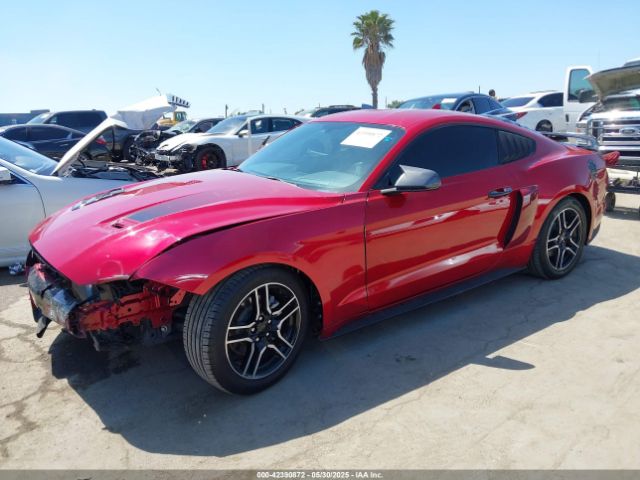 1FA6P8TH4L5189982 Ford Mustang Ecoboost Fastback