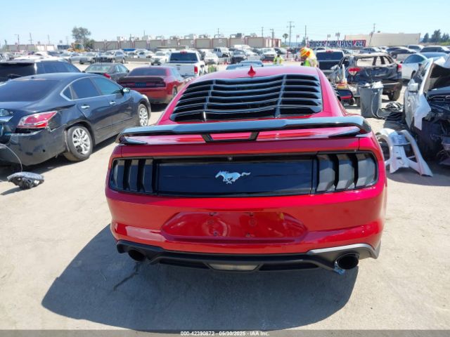 1FA6P8TH4L5189982 Ford Mustang Ecoboost Fastback