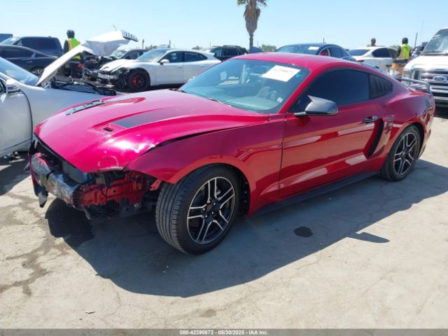 1FA6P8TH4L5189982 Ford Mustang Ecoboost Fastback