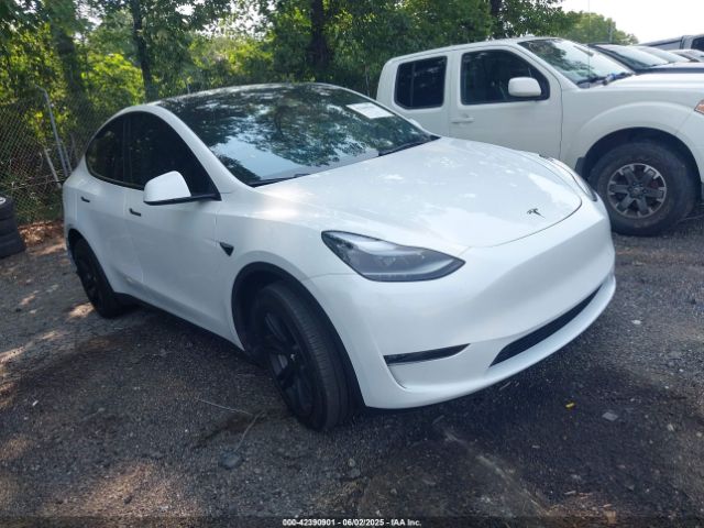 2024 TESLA MODEL Y 7SAYGDEE5RA229542