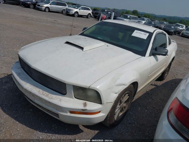 2007 FORD MUSTANG 1ZVFT80N775312340 Photo 1