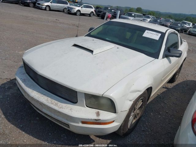 2007 FORD MUSTANG 1ZVFT80N775312340 Photo 5