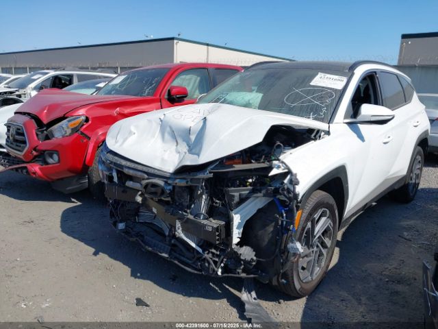 2025 HYUNDAI TUCSON HYBRID KM8JEDD1XSU275477 Photo 1