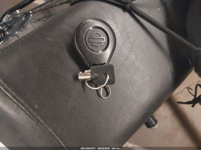 2015 HARLEY-DAVIDSON FLHXS 1HD1KRM12FB682039 Photo 10