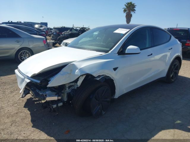 2026 TESLA MODEL Y 7SAYGDEE8TF347983 Photo 1