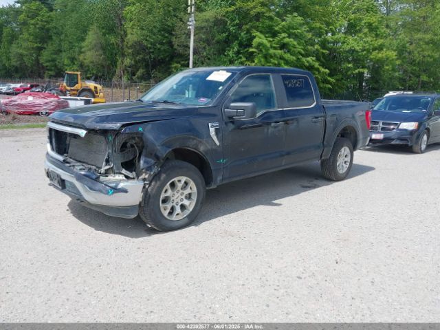 1FTFW1E8XPFC68638 Ford F-150 Xlt