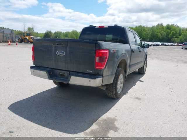 1FTFW1E8XPFC68638 Ford F-150 Xlt