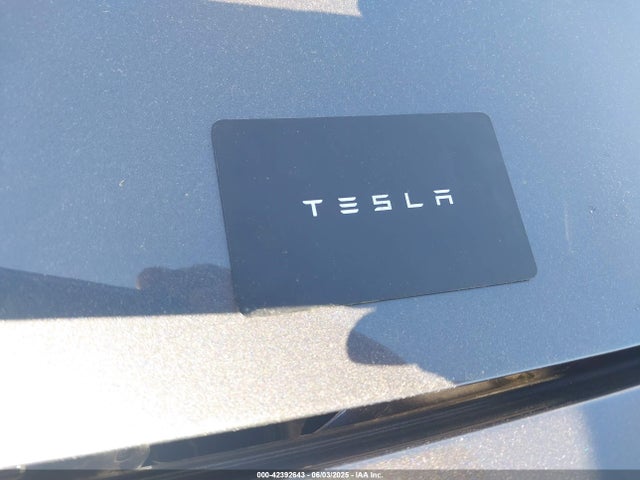 2023 TESLA MODEL 3 5YJ3E1EA9PF673399 Photo 10