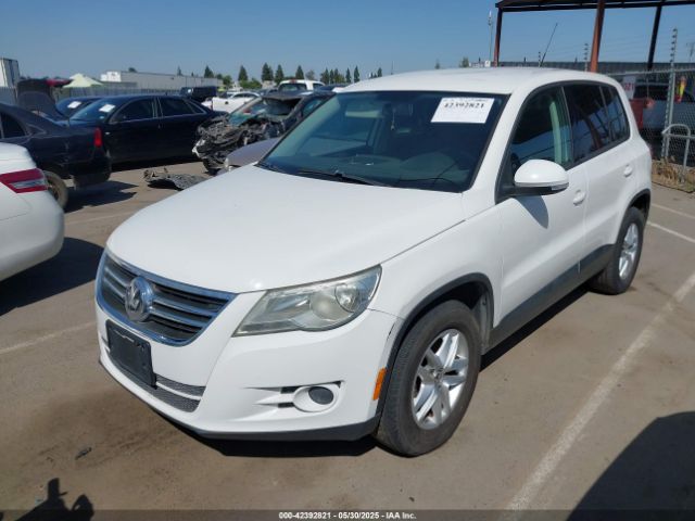 2011 VOLKSWAGEN TIGUAN WVGAV7AX0BW556329 Photo 1