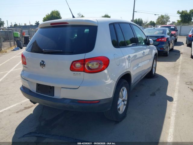 2011 VOLKSWAGEN TIGUAN WVGAV7AX0BW556329 Photo 3