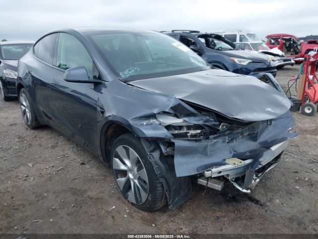 2023 TESLA MODEL Y 7SAYGDEE6PF764511