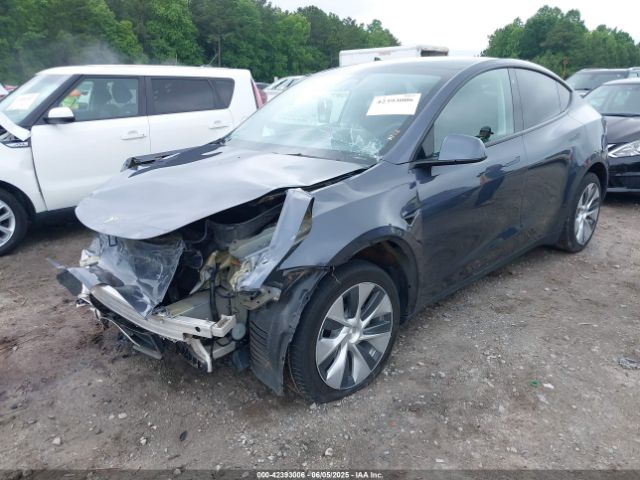 2023 TESLA MODEL Y 7SAYGDEE6PF764511 Photo 1