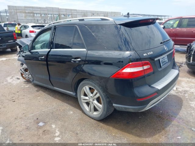 2014 MERCEDES-BENZ ML 350 4JGDA5JB4EA324321 Photo 2